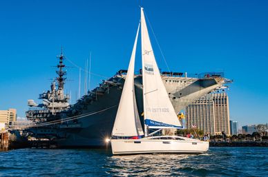 Midday Sailing Adventure: Best Wind, Wildlife & Views on a Catalina 400 image 10