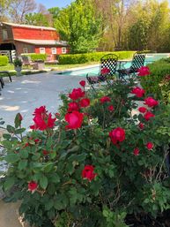 Sweet Escape: Historic 3500 sq ft Luxury Estate: Heated Pool, Hot Tub & Walkable to Main St image 55