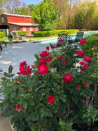 Sweet Escape: Historic 3500 sq ft Luxury Estate: Heated Pool, Hot Tub & Walkable to Main St image 55