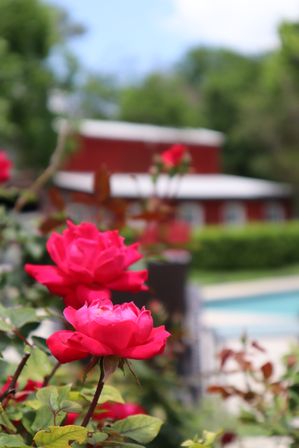 Sweet Escape: Historic 3500 sq ft Luxury Estate: Heated Pool, Hot Tub & Walkable to Main St image 47