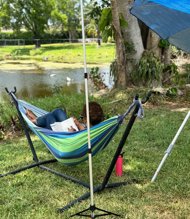 The Dripping Wellness Experience: Concierge IV Drips for Parties, Events & Recovery image 1