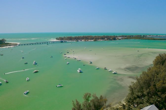 Dolphin Tour: Experience Ana Maria Island from the Water image 8