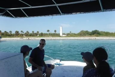 Dolphin Tour: Experience Ana Maria Island from the Water image 13