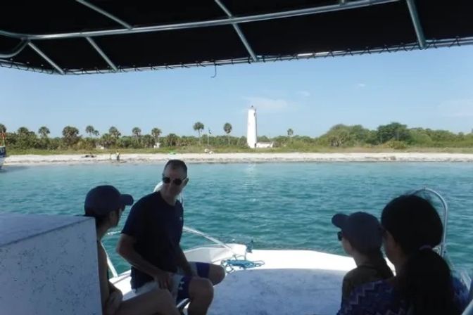 Dolphin Tour: Experience Ana Maria Island from the Water image 13