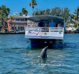 Dolphin Tour: Experience Ana Maria Island from the Water image 1