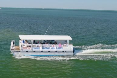 Dolphin Tour: Experience Ana Maria Island from the Water image 11