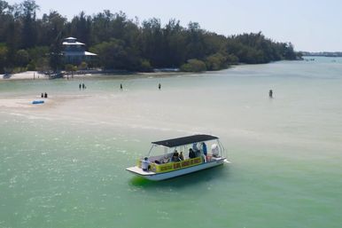 Dolphin Tour: Experience Ana Maria Island from the Water image 14