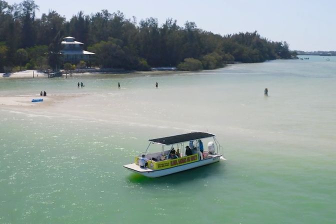 Dolphin Tour: Experience Ana Maria Island from the Water image 14