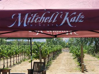 Livermore Valley All-Inclusive Wine Tour: Private Tastings & Transport image 6