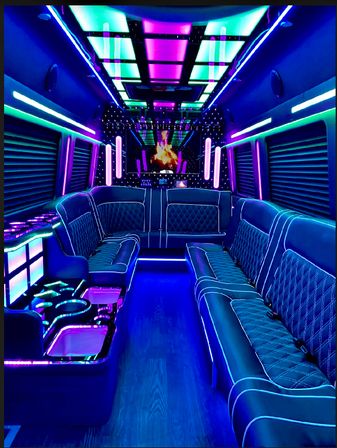 Ride, Dance, Repeat: The Ultimate LA & OC Party Bus Rentals image 11