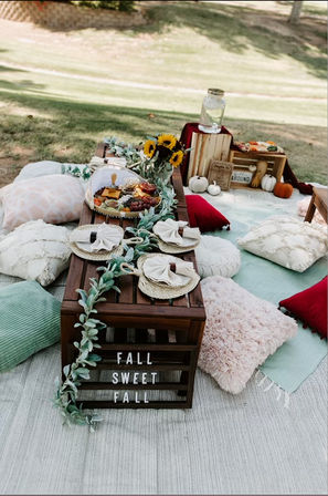 At-Home Luxury Picnic Party with Setup Included image 3