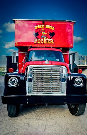 Ride The Big Pecker: Nashville’s Wildest Party Bus with Karaoke, Dance Pole & BYOB image 8