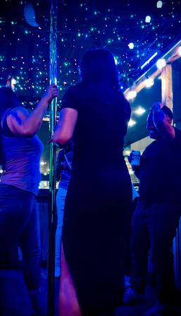 Ride The Big Pecker: Nashville’s Wildest Party Bus with Karaoke, Dance Pole & BYOB image 3