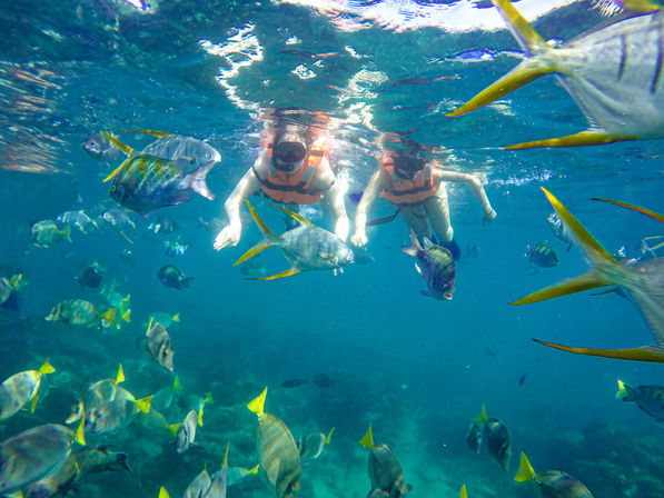 Snorkel & Sea Adventure on a Fast Boat: Choose from Snorkeling, Paddleboarding & Kayaking & More image 12