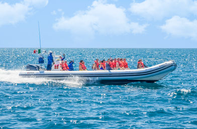 Snorkel & Sea Adventure on a Fast Boat: Choose from Snorkeling, Paddleboarding & Kayaking & More image 2