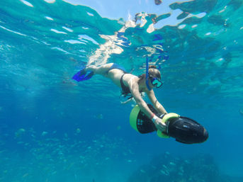 Snorkel & Sea Adventure on a Fast Boat: Choose from Snorkeling, Paddleboarding & Kayaking & More image 13