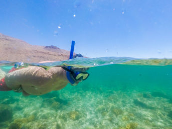 Snorkel & Sea Adventure on a Fast Boat: Choose from Snorkeling, Paddleboarding & Kayaking & More image 11