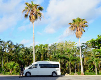 Mayan Ruins & Snorkeling Boat Tour: Explore Ancient Ruins and Snorkel with Turtles + Manta Rays (Transportation Included) image 7