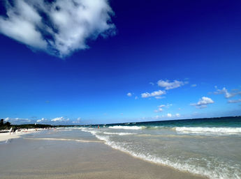 Mayan Ruins & Snorkeling Boat Tour: Explore Ancient Ruins and Snorkel with Turtles + Manta Rays (Transportation Included) image 9