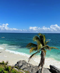 Mayan Ruins & Snorkeling Boat Tour: Explore Ancient Ruins and Snorkel with Turtles + Manta Rays (Transportation Included) image 10
