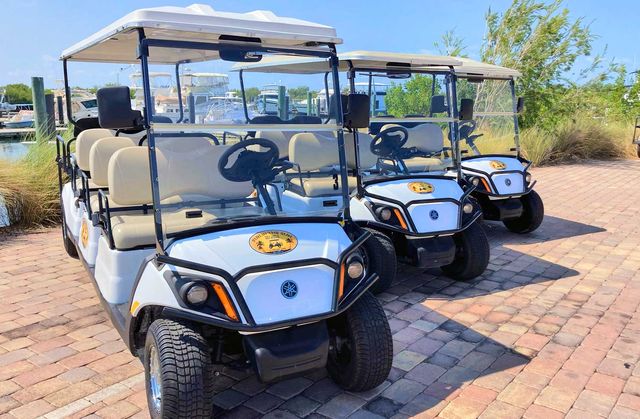 Key West Golf Cart Rentals: 4, 6, & 8 Seater Options image 2