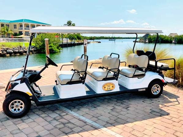 Key West Golf Cart Rentals: 4, 6, & 8 Seater Options image 6