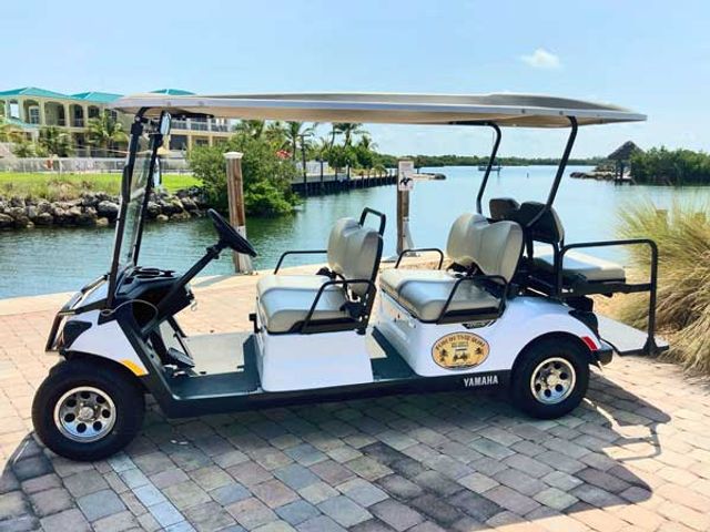 Key West Golf Cart Rentals: 4, 6, & 8 Seater Options image 5