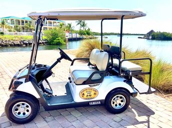 Key West Golf Cart Rentals: 4, 6, & 8 Seater Options image 4