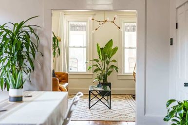 "Casita Verde" Jungle House: Charming Rental with Grill + Fire Pit image 29