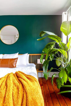 "Casita Verde" Jungle House: Charming Rental with Grill + Fire Pit image 18