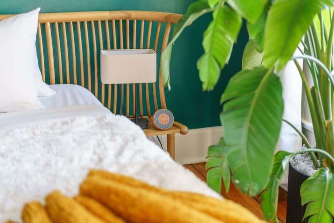 "Casita Verde" Jungle House: Charming Rental with Grill + Fire Pit image 22