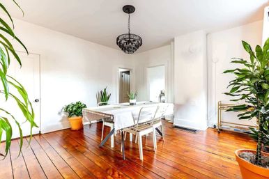 "Casita Verde" Jungle House: Charming Rental with Grill + Fire Pit image 26