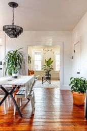 "Casita Verde" Jungle House: Charming Rental with Grill + Fire Pit image 23
