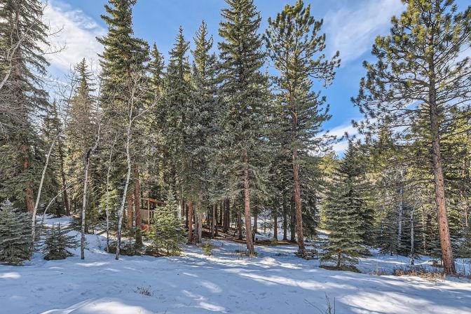 Creekside Mountain Lodge: Hot Tub + Scenic Views on 3 Private Acres image 46