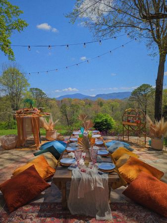 Insta-worthy Luxury Picnic with Charcuterie, Polaroid, Music, & Vibes image 19