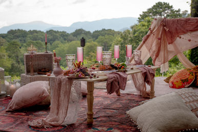 Insta-worthy Luxury Picnic with Charcuterie, Polaroid, Music, & Vibes image 3