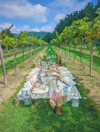 Insta-worthy Luxury Picnic with Charcuterie, Polaroid, Music, & Vibes image 23