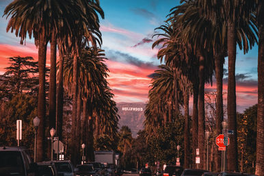 Private San Francisco Tours: Custom Itineraries for Bachelorettes & Other Groups image 14
