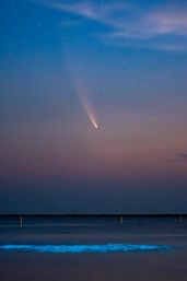 Bioluminescent Kayaking Adventure in the Glowing Indian River Lagoon image 9