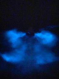 Bioluminescent Kayaking Adventure in the Glowing Indian River Lagoon image 8