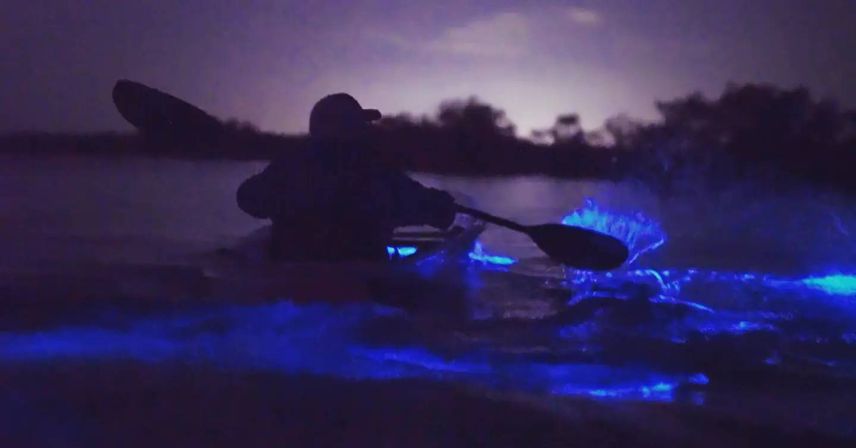 Bioluminescent Kayaking Adventure in the Glowing Indian River Lagoon image 6