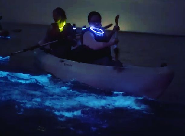 Bioluminescent Kayaking Adventure in the Glowing Indian River Lagoon image 3