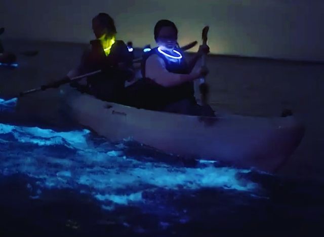 Bioluminescent Kayaking Adventure in the Glowing Indian River Lagoon image 3