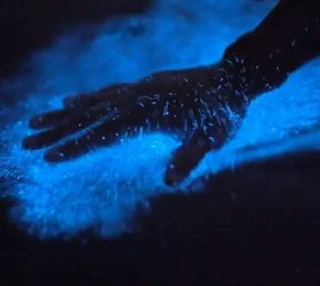 Bioluminescent Kayaking Adventure in the Glowing Indian River Lagoon image 5