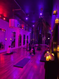 Luxury Pole, Lap, or Twerk Dance Party & Private Bar Experience image 12