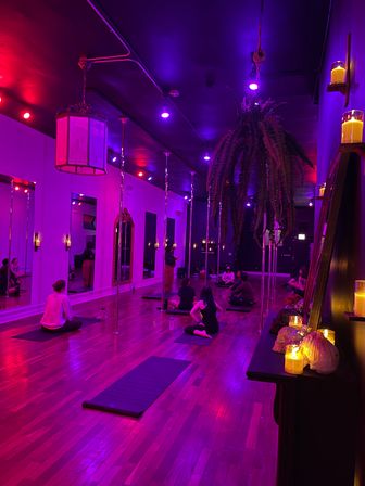 Luxury Pole, Lap, or Twerk Dance Party & Private Bar Experience image 12