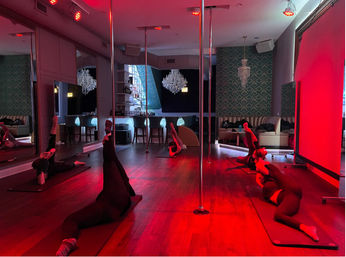 Luxury Pole, Lap, or Twerk Dance Party & Private Bar Experience image 10