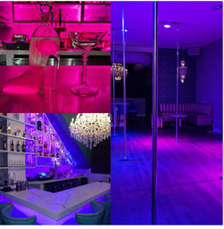 Luxury Pole, Lap, or Twerk Dance Party & Private Bar Experience image 9