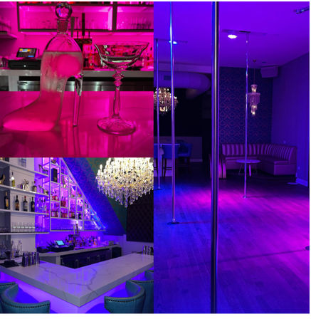 Luxury Pole, Lap, or Twerk Dance Party & Private Bar Experience image 9
