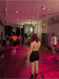 Luxury Pole, Lap, or Twerk Dance Party & Private Bar Experience image 3